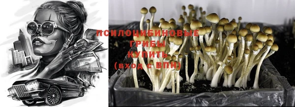 мяу мяу мука Кодинск