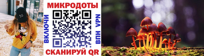 Псилоцибиновые грибы мицелий  купить наркотики сайты  Миньяр 